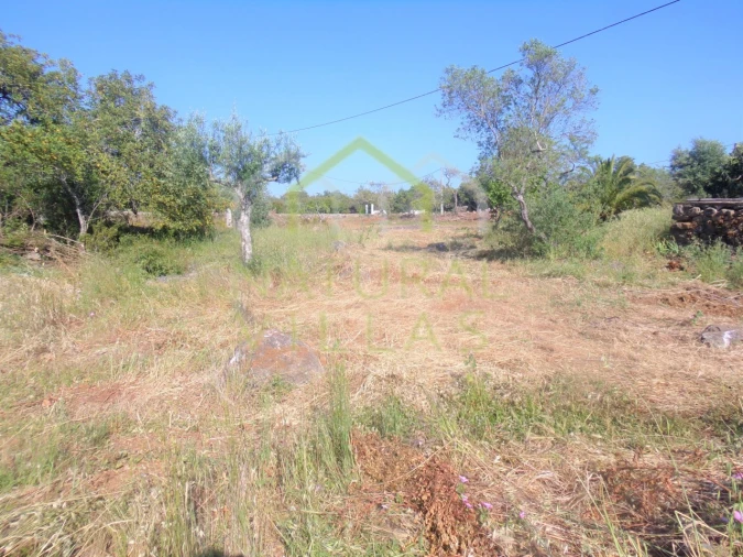 Terreno Misto para Venda em Santa Barbara de Nexe Foto 4