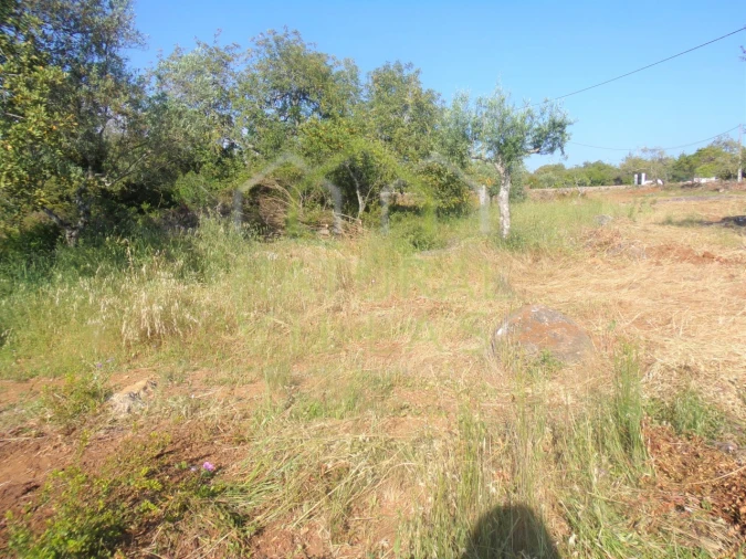Terreno Misto para Venda em Santa Barbara de Nexe Foto 5