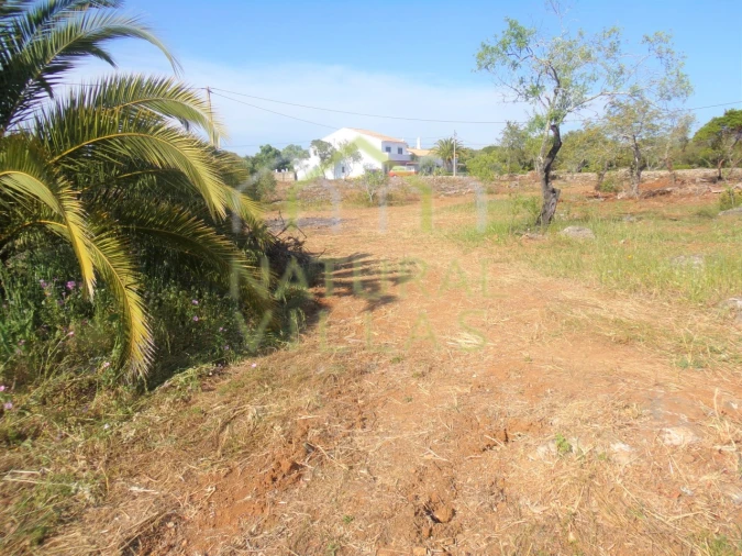 Terreno Misto para Venda em Santa Barbara de Nexe Foto 6