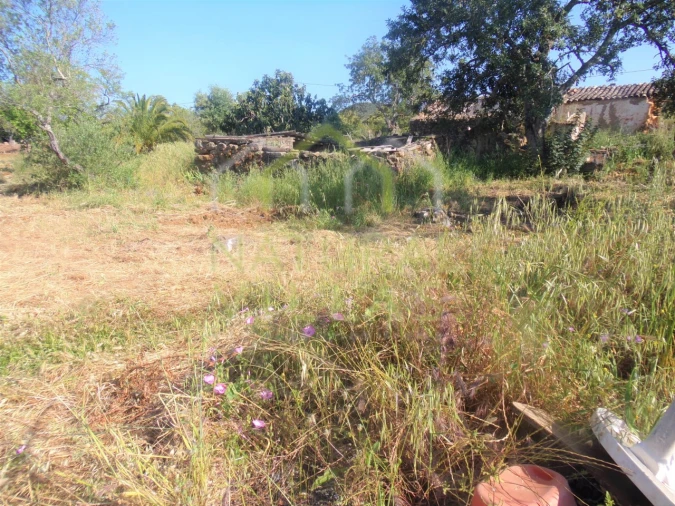 Terreno Misto para Venda em Santa Barbara de Nexe Foto 2
