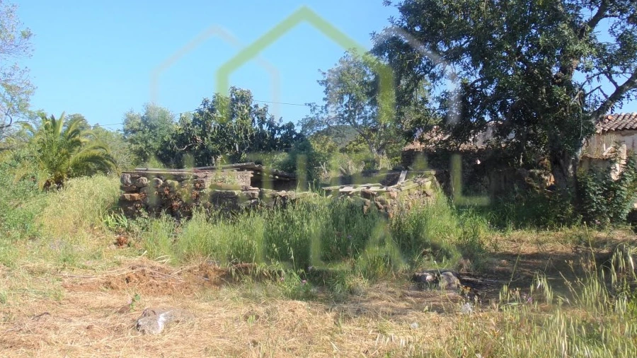 Terreno Misto para Venda em Santa Barbara de Nexe