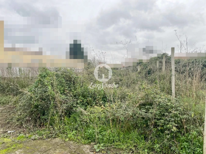 Terreno para Venda em Coronado (São Romão e São Mamede) Foto 3