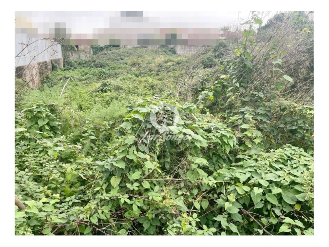 Terreno para Venda em Coronado (São Romão e São Mamede) Foto 4