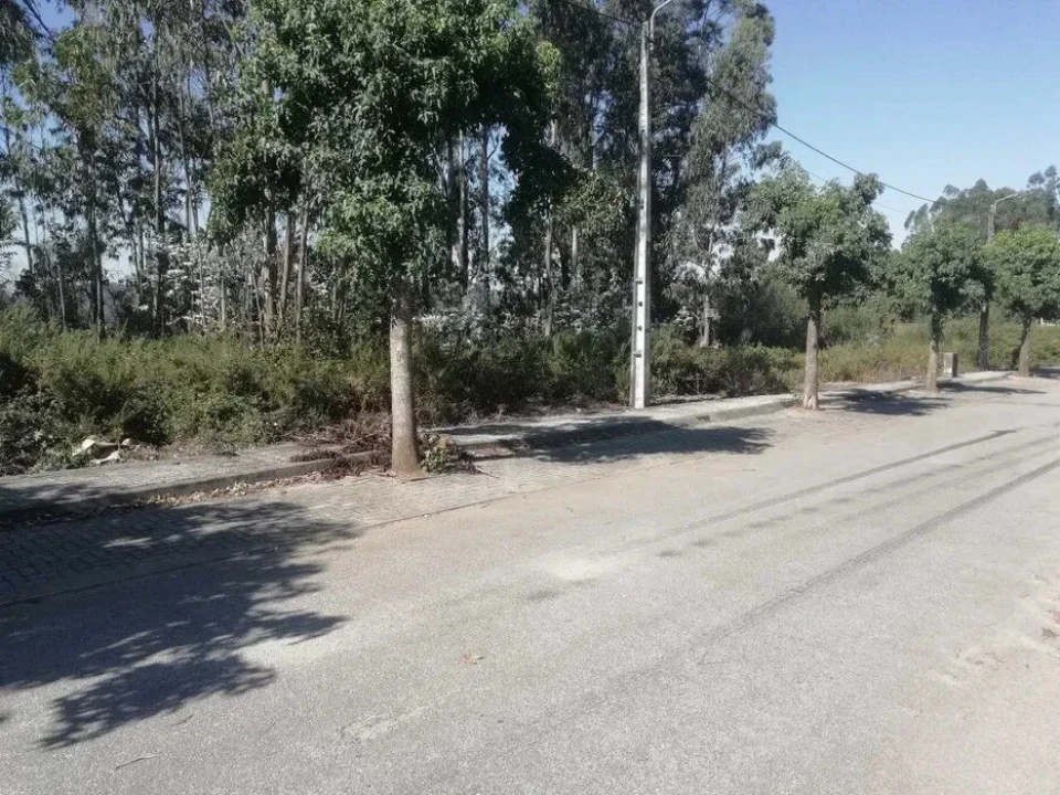 Terreno Agricola ou Rústico para Venda em Fradelos Foto 1