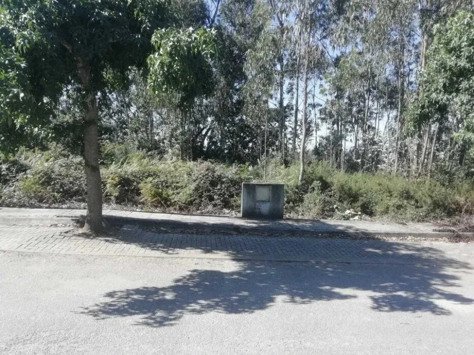 Terreno Agricola ou Rústico para Venda em Fradelos Foto 4