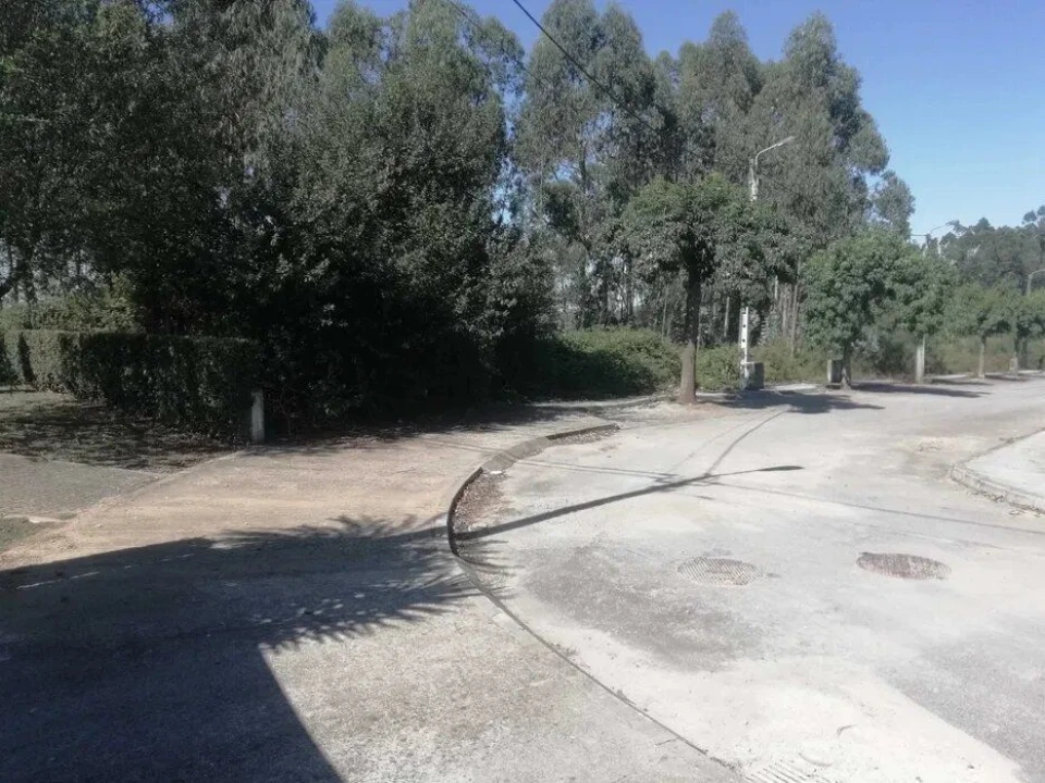 Terreno Agricola ou Rústico para Venda em Fradelos Foto 5