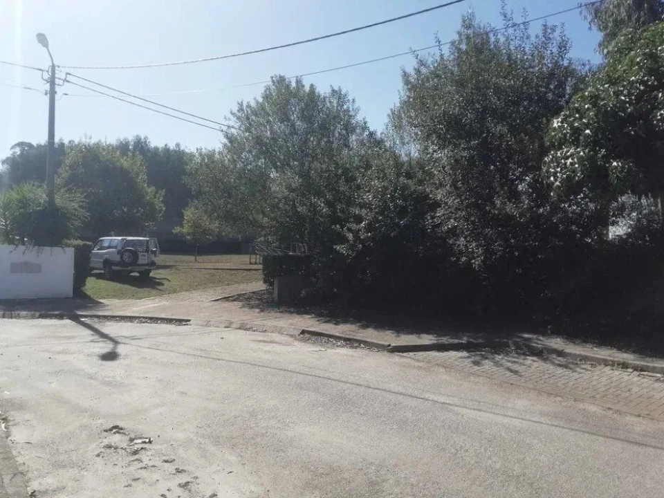 Terreno Agricola ou Rústico para Venda em Fradelos Foto 7