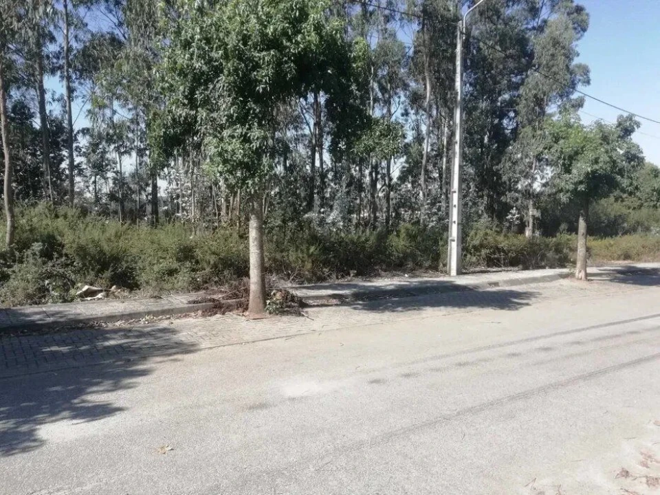 Terreno Agricola ou Rústico para Venda em Fradelos Foto 8