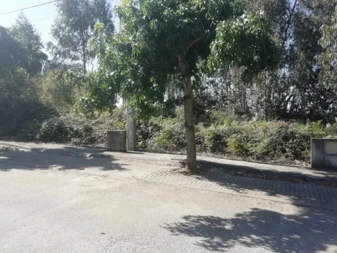 Terreno Agricola ou Rústico para Venda em Fradelos Foto 2