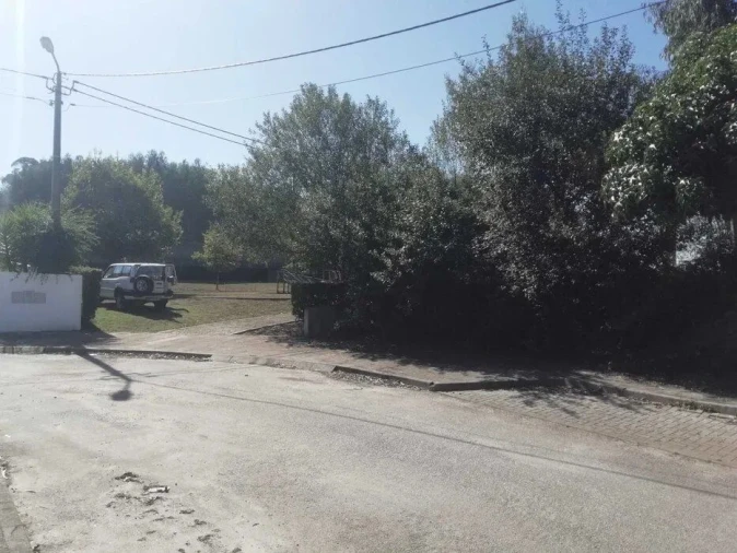 Terreno Agricola ou Rústico para Venda em Fradelos Foto 7