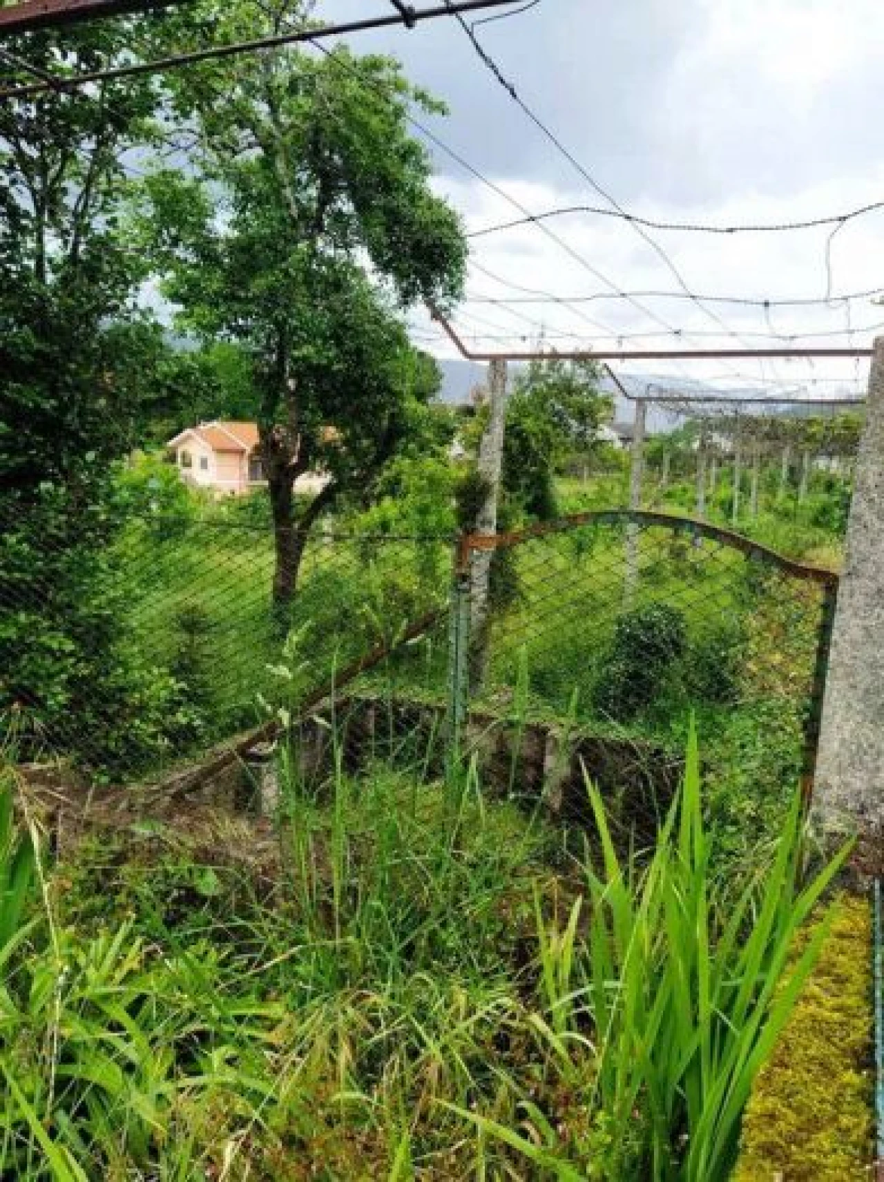 Moradia T6 para Venda em Souto Foto 5