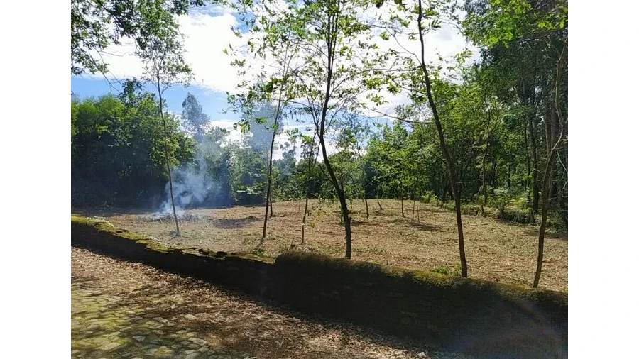 Terreno Agricola ou Rústico para Venda em Seixas