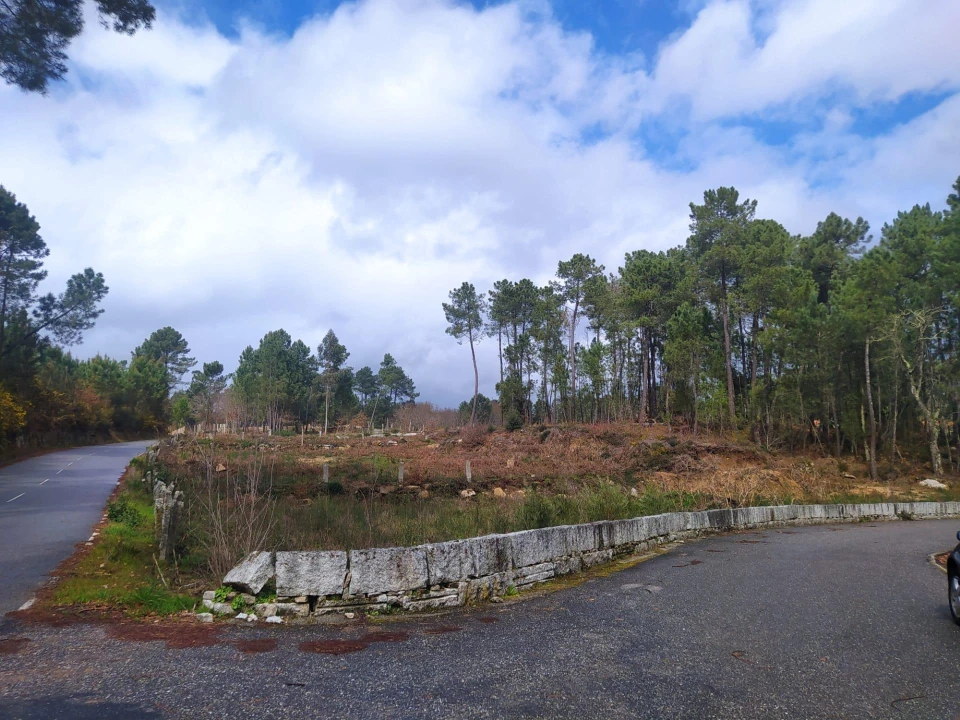 Terreno Agricola ou Rústico para Venda em Pinheiros Foto 10