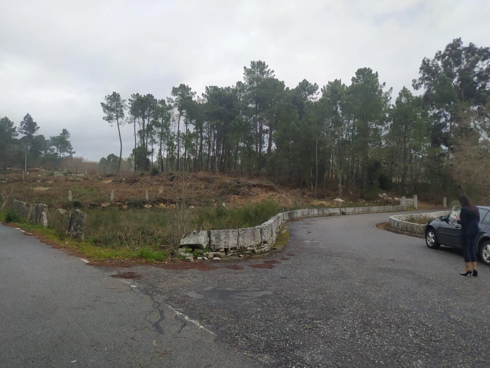 Terreno Agricola ou Rústico para Venda em Pinheiros Foto 12