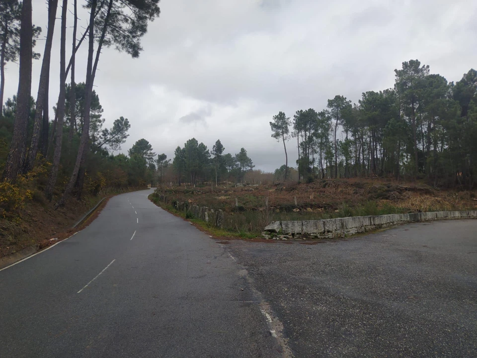 Terreno Agricola ou Rústico para Venda em Pinheiros Foto 13