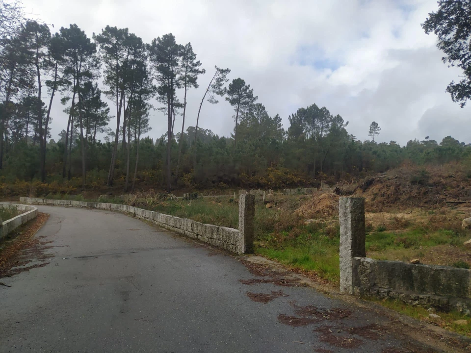Terreno Agricola ou Rústico para Venda em Pinheiros Foto 19