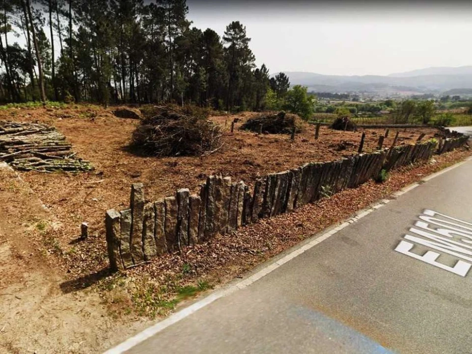 Terreno Agricola ou Rústico para Venda em Pinheiros Foto 2