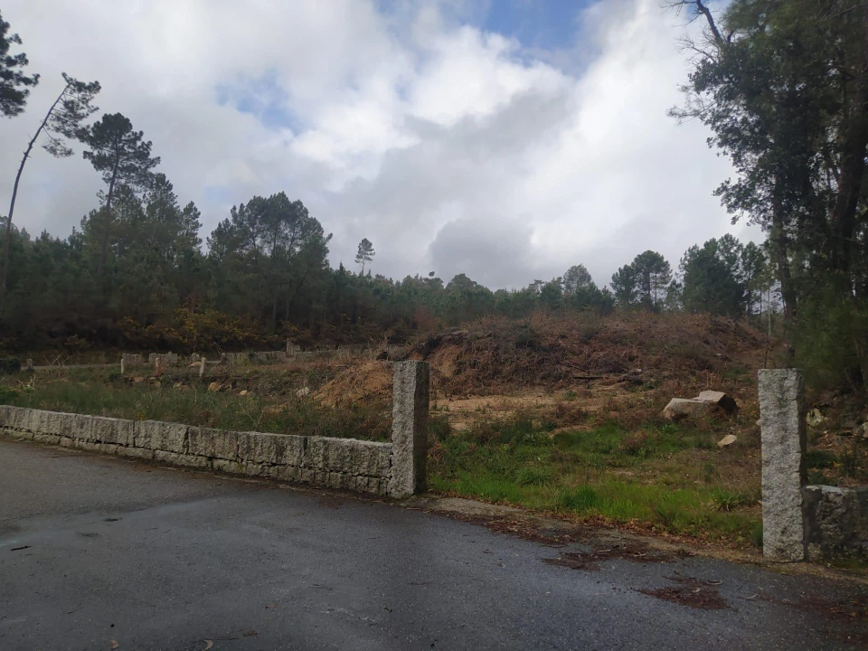 Terreno Agricola ou Rústico para Venda em Pinheiros Foto 20
