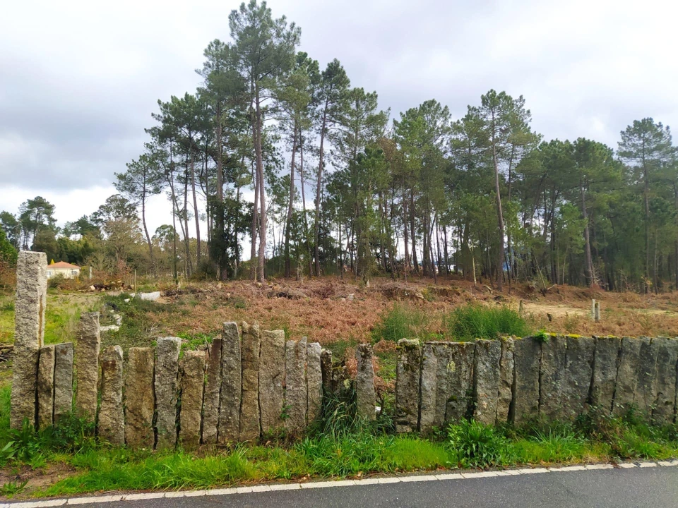 Terreno Agricola ou Rústico para Venda em Pinheiros Foto 3