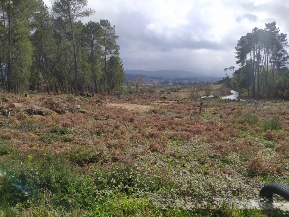 Terreno Agricola ou Rústico para Venda em Pinheiros Foto 5