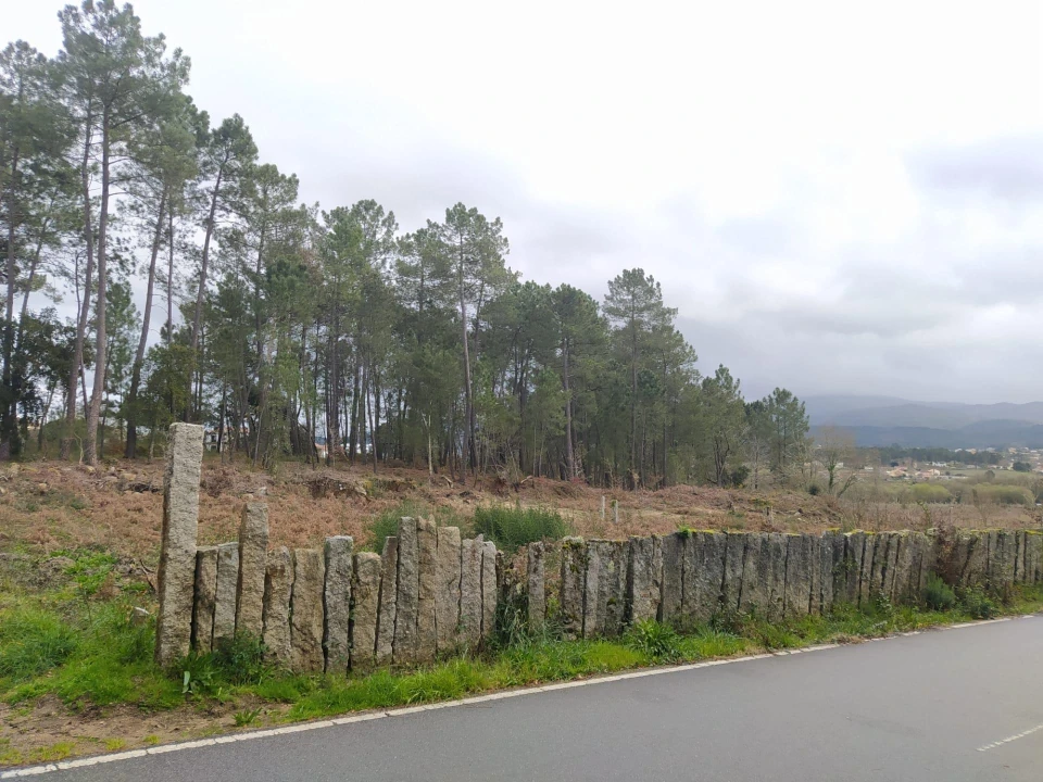 Terreno Agricola ou Rústico para Venda em Pinheiros Foto 7