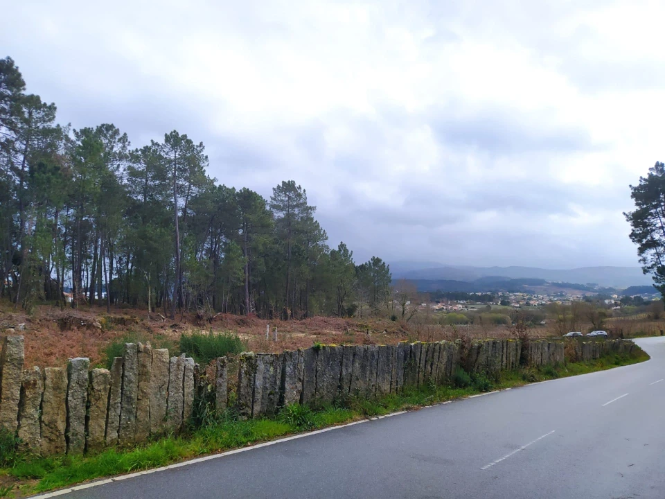 Terreno Agricola ou Rústico para Venda em Pinheiros Foto 8