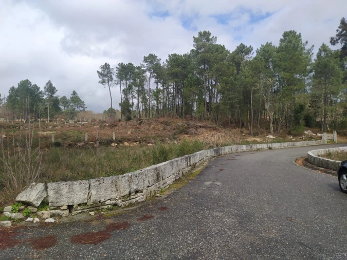 Terreno Agricola ou Rústico para Venda em Pinheiros Foto 11