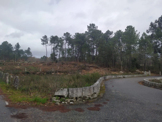 Terreno Agricola ou Rústico para Venda em Pinheiros Foto 14