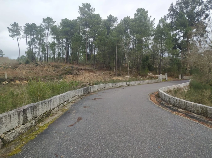 Terreno Agricola ou Rústico para Venda em Pinheiros Foto 15