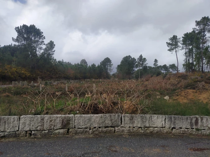 Terreno Agricola ou Rústico para Venda em Pinheiros Foto 17