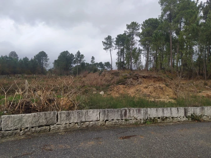 Terreno Agricola ou Rústico para Venda em Pinheiros Foto 18