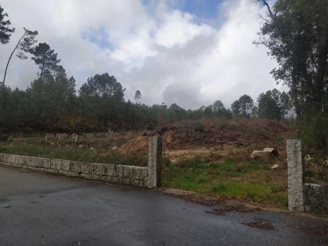 Terreno Agricola ou Rústico para Venda em Pinheiros Foto 20