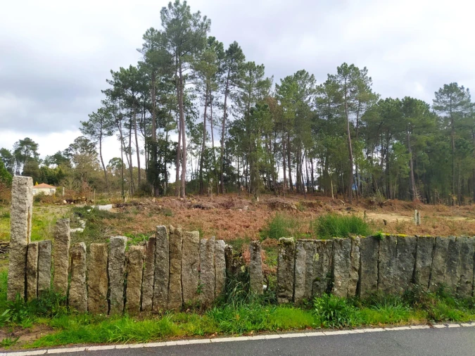 Terreno Agricola ou Rústico para Venda em Pinheiros Foto 3