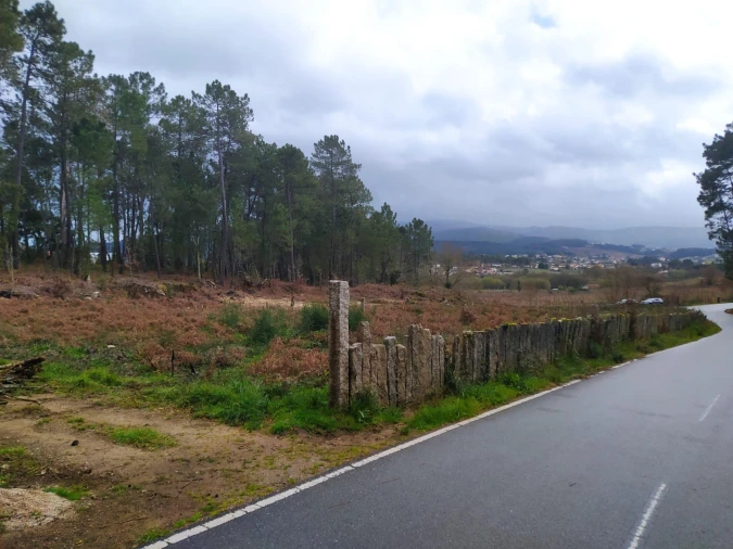Terreno Agricola ou Rústico para Venda em Pinheiros Foto 6