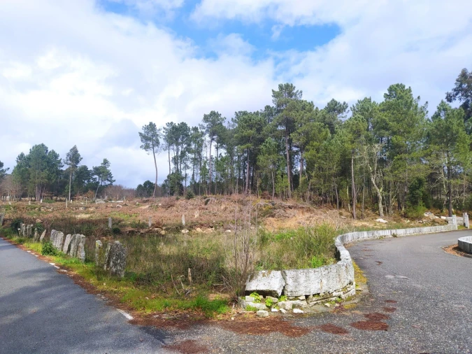 Terreno Agricola ou Rústico para Venda em Pinheiros Foto 9