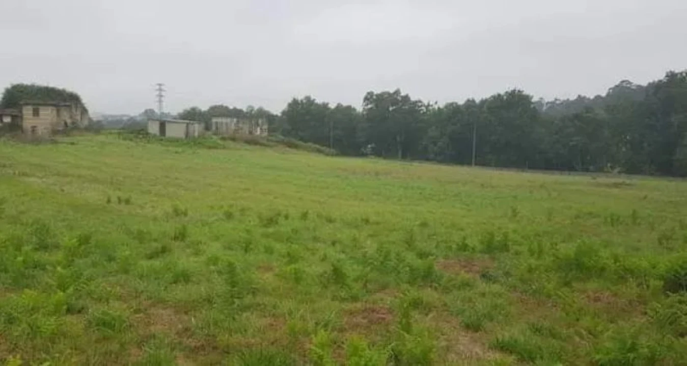 Terreno Agricola ou Rústico para Venda em Antas e Abade de Vermoim Foto 2