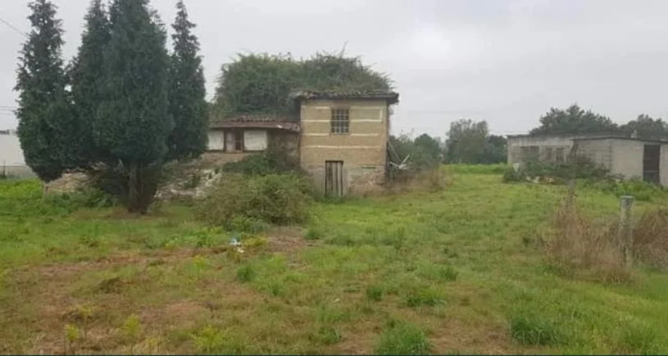 Terreno Agricola ou Rústico para Venda em Antas e Abade de Vermoim Foto 4