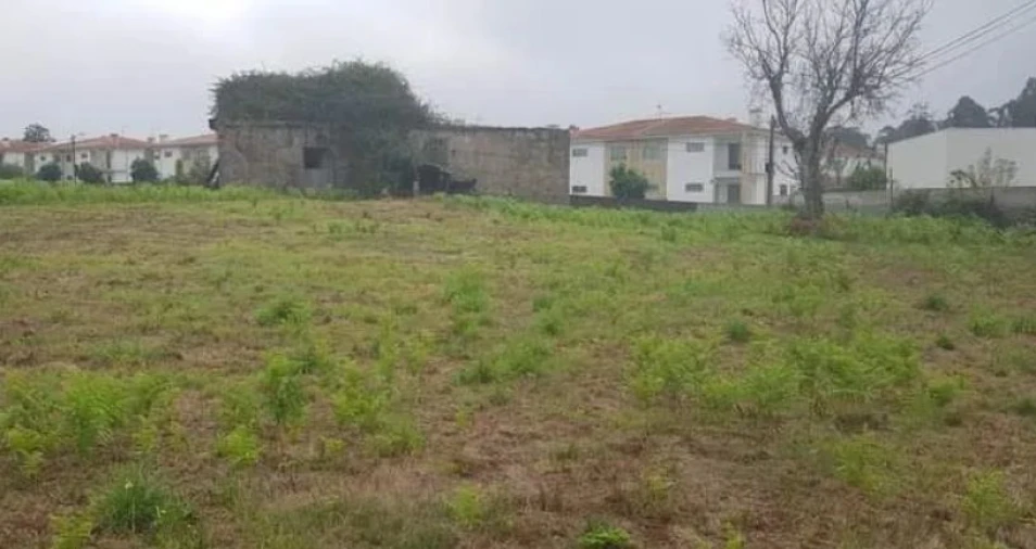 Terreno Agricola ou Rústico para Venda em Antas e Abade de Vermoim Foto 3