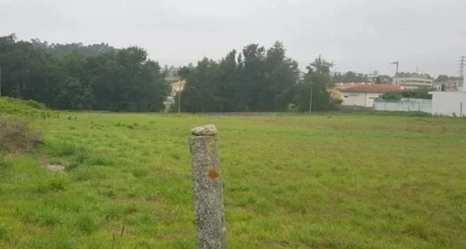 Terreno Agricola ou Rústico para Venda em Antas e Abade de Vermoim Foto 5