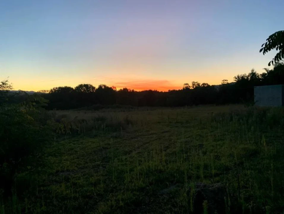 Terreno Agricola ou Rústico para Venda em Soutelo Foto 17