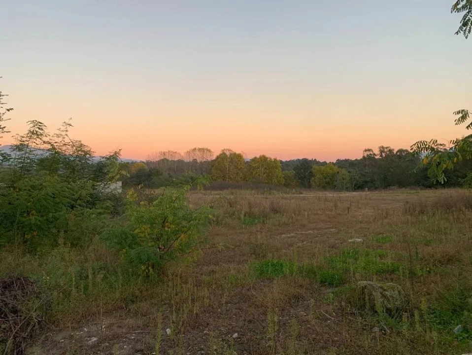 Terreno Agricola ou Rústico para Venda em Soutelo Foto 27