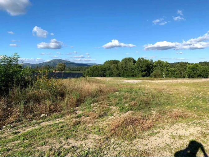 Terreno Agricola ou Rústico para Venda em Soutelo Foto 10