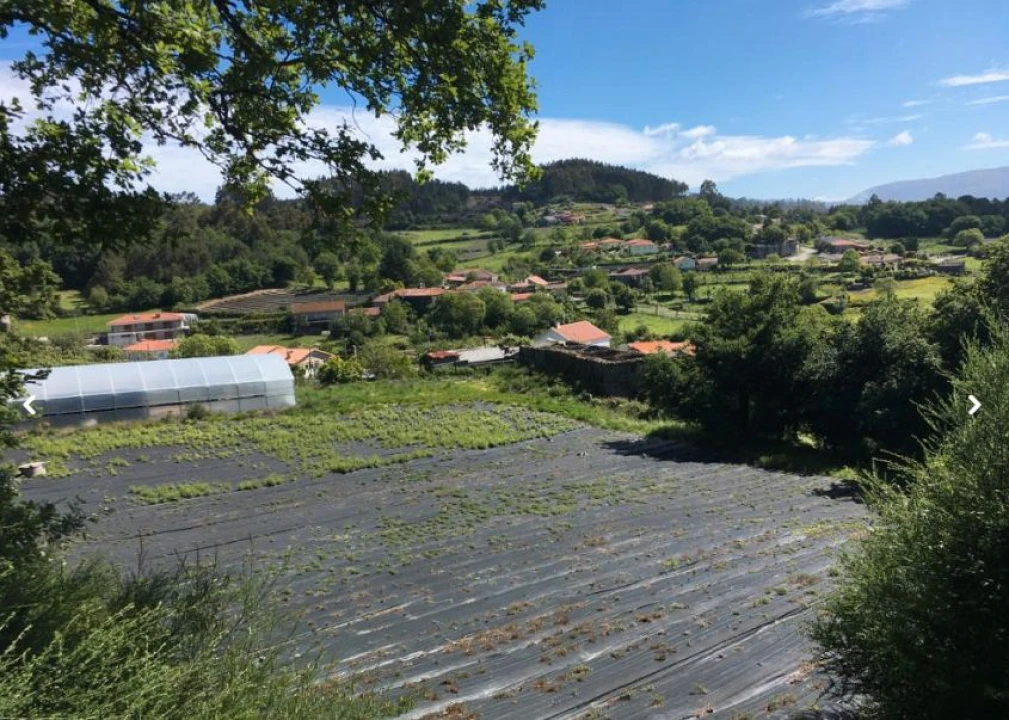 Moradia para Venda em Briteiros São Salvador e Briteiros Santa Leocádia Foto 14