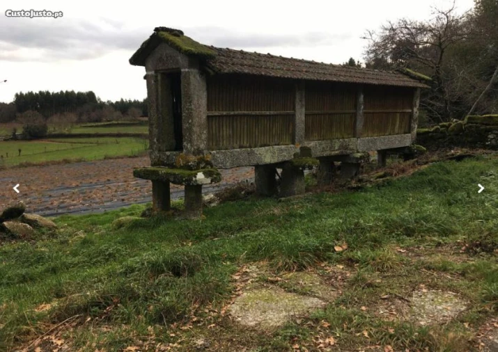 Moradia para Venda em Briteiros São Salvador e Briteiros Santa Leocádia Foto 17