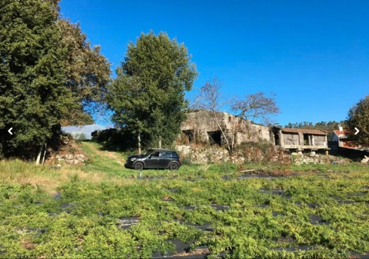 Moradia para Venda em Briteiros São Salvador e Briteiros Santa Leocádia Foto 4