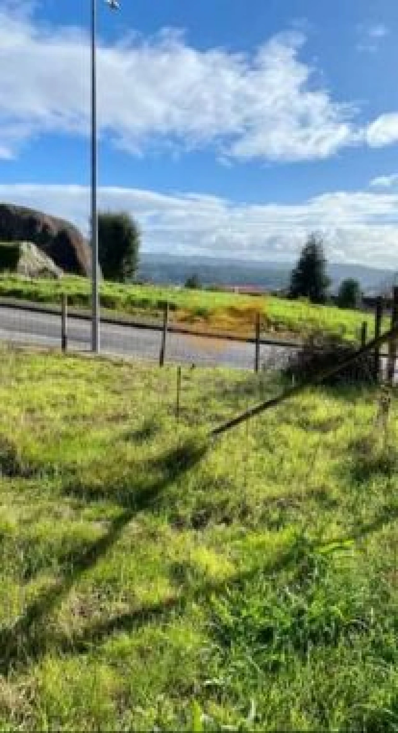 Terreno Agricola ou Rústico para Venda em Lomar e Arcos Foto 1