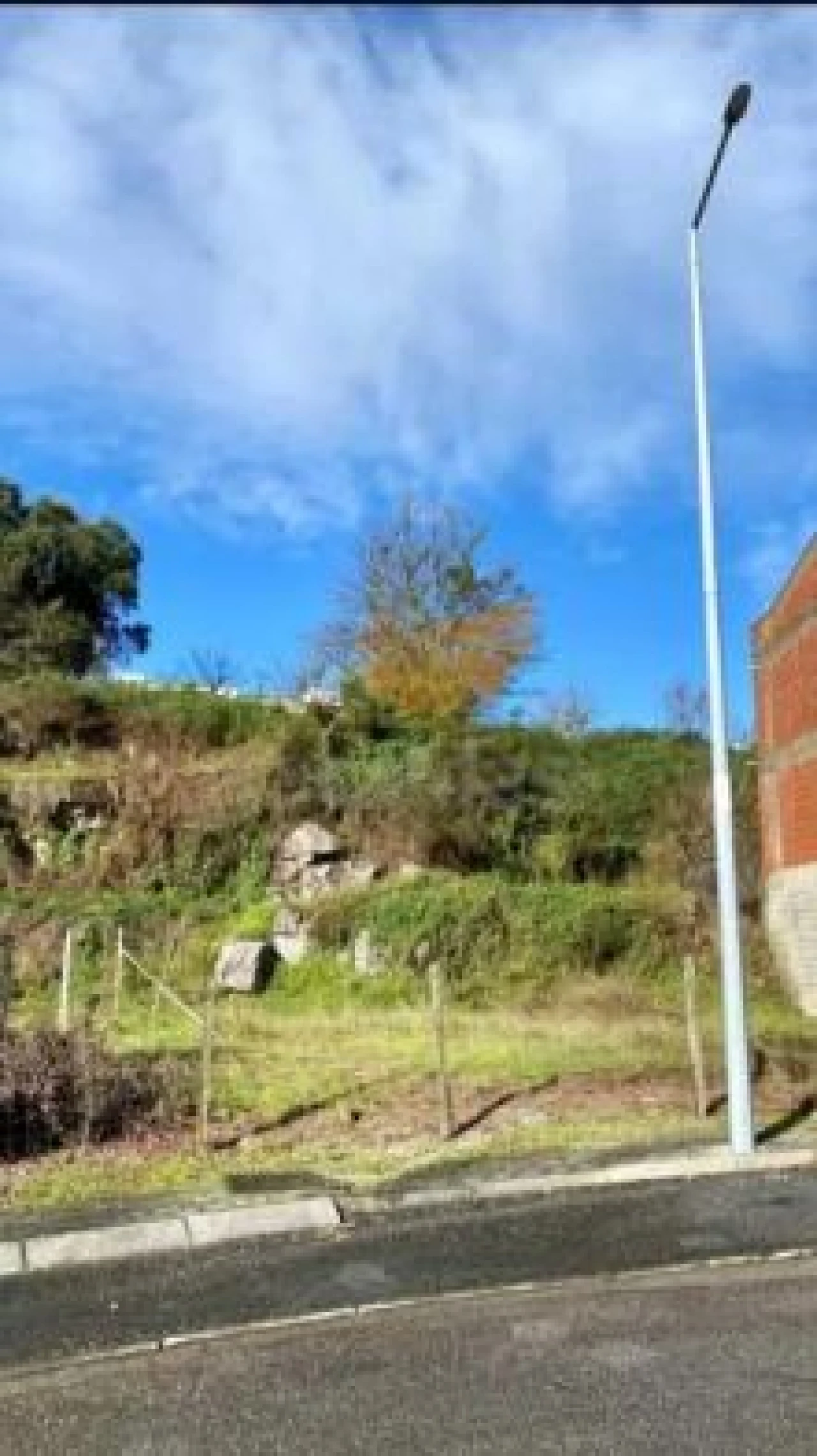Terreno Agricola ou Rústico para Venda em Lomar e Arcos Foto 3
