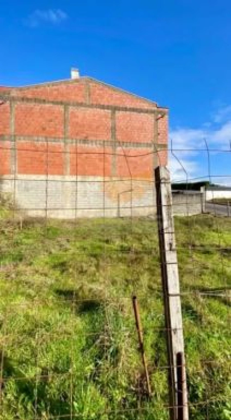 Terreno Agricola ou Rústico para Venda em Lomar e Arcos Foto 5