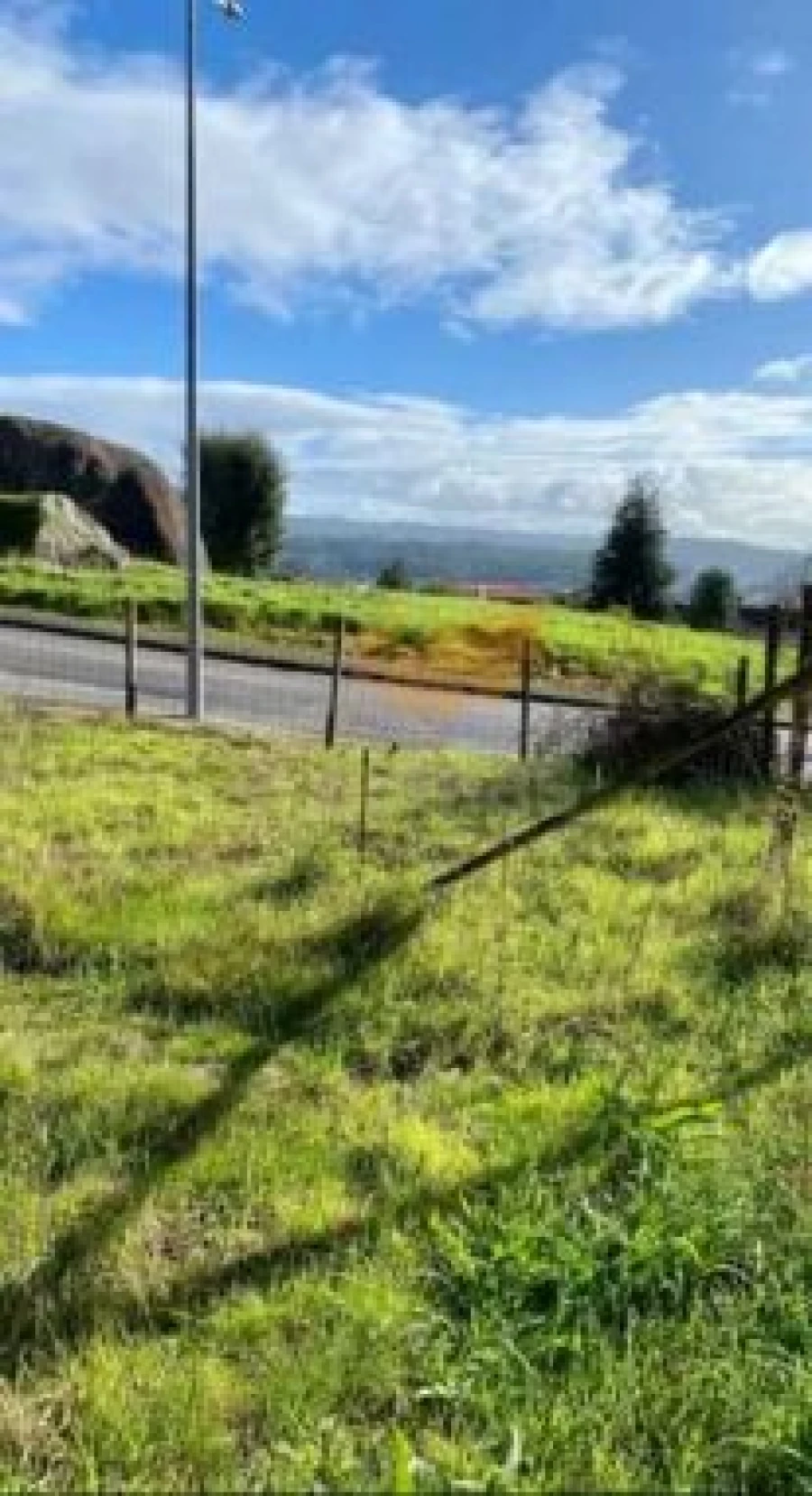 Terreno Agricola ou Rústico para Venda em Lomar e Arcos Foto 6