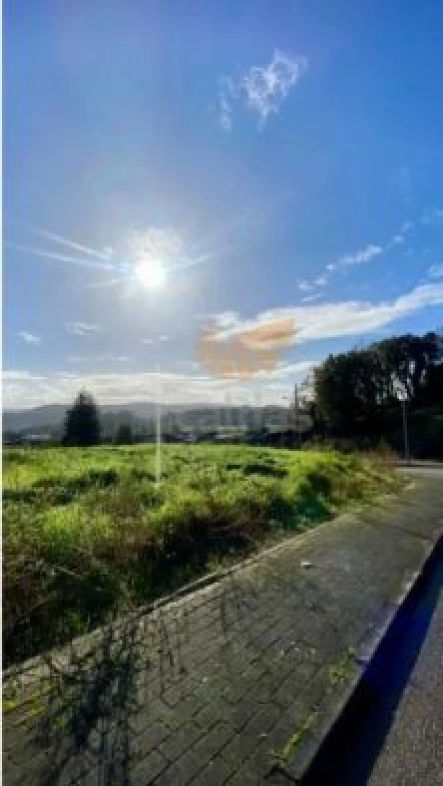 Terreno Agricola ou Rústico para Venda em Lomar e Arcos Foto 7